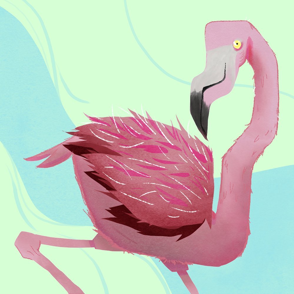 Bird