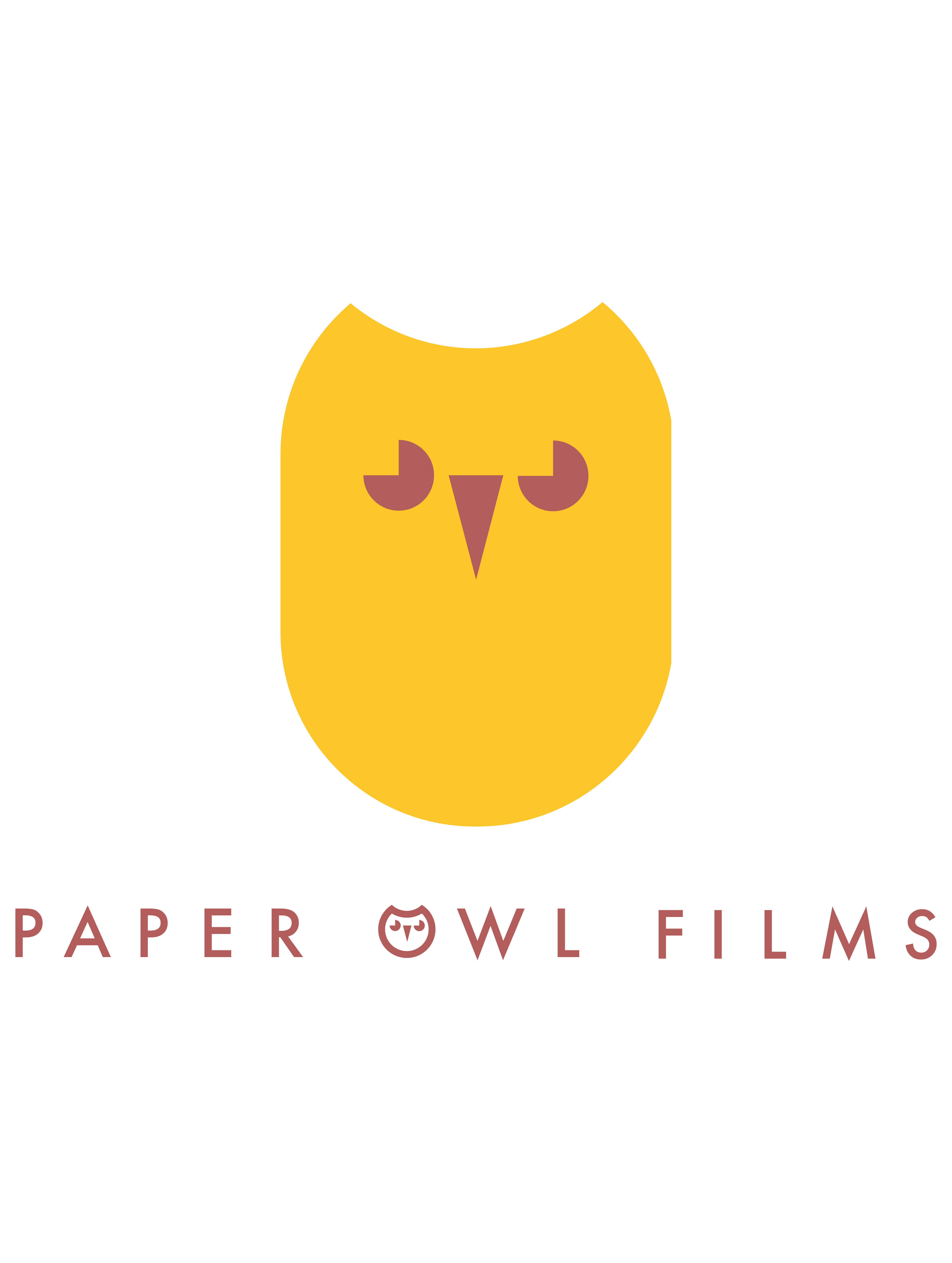 Paper Owl